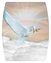 DAREC 116 D BZ Dove Clouds Bronze